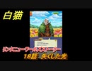 白猫　リンクニューワールズストーリー　１８話　失くした光　ガチャキャラ　グラハム（剣）ジン（拳）アイリス＆赤髪（弓）イクシア（輝剣）　９周年イベントEP４　＃２９　【白猫プロジェクト】