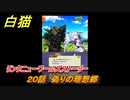 白猫　リンクニューワールズストーリー　２０話　偽りの理想郷　ガチャキャラ　グラハム（剣）ジン（拳）アイリス＆赤髪（弓）イクシア（輝剣）　９周年イベントEP４　＃３２　【白猫プロジェクト】