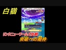 白猫　リンクニューワールズ攻略　突破への期待　ガチャキャラ　グラハム（剣）ジン（拳）アイリス＆赤髪（弓）イクシア（輝剣）　９周年イベントEP４　＃３５　【白猫プロジェクト】
