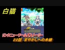 白猫　リンクニューワールズストーリー　２２話　まやかしへの未練　ガチャキャラ　グラハム（剣）ジン（拳）アイリス＆赤髪（弓）イクシア（輝剣）　９周年イベントEP４　＃３６　【白猫プロジェクト】