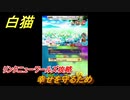 白猫　リンクニューワールズ攻略　幸せを守るため　ガチャキャラ　グラハム（剣）ジン（拳）アイリス＆赤髪（弓）イクシア（輝剣）　９周年イベントEP４　＃３７　【白猫プロジェクト】