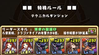 【 #パズドラ 】秘才の氷城　全スキップ編成　ラージャン難民向け