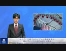 カナダ、中国でのウイグル人強制労働の疑いでナイキとDYNASTYを調査