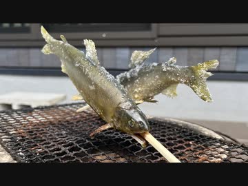 【七輪で鮎の塩焼き】熱々な屋敷しもべ