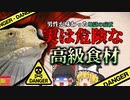 【2004年】偶然釣れた"高級食材" しかし食べ方を誤り、地獄の症状に襲われた男性…『サルモネラ菌食中毒』【ゆっくり解説】
