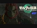ゼルダの伝説 ティアキン #27 偽りの臣従 地上絵07 ゲルドキャニオン鳥望台 ゲルド高地鳥望台 オルディン峡谷鳥望台 ティアーズ オブ ザ キングダム