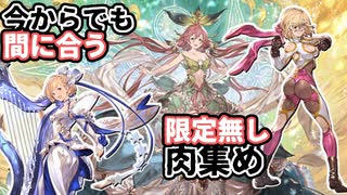 【 #グラブル 】限定キャラを一切使わない古戦場2400万肉集め編成を解説するずんだもん【ずんだもん解説動画】