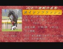 21世紀の名馬　エイシンフラッシュ
