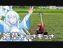2023年7月15日　農作業日誌P691　パワコン付けた後にお山で草対策の作業ばかりやっていたよ