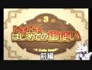 【サモンナイト4】時系列順プレイその8 #3-1　BGM大きいのごめんなさい！次話から直す予定！【PS2】