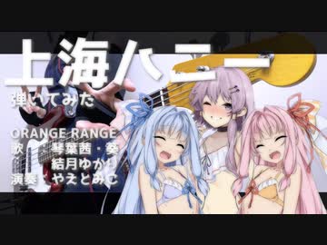 上海ハニー/ORANGE RANGE【結月ゆかり・琴葉茜・琴葉葵カバー】