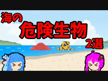【VOICEROID解説】ゆかり先輩と見る危険生物【海編②】