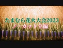 【2023】たまむら花火大会　ノーカット全編