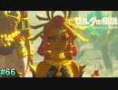 [ゼルダの伝説TotK　#66] 　姫を守るのは騎士の役目