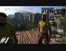 【実況】飽く無きオレらに挑戦を、彷徨うゾンビに永眠を #1【Dying Light】