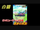 白猫　リンクニューワールズ攻略　悪夢の再演　ガチャキャラ　グラハム（剣）ジン（拳）アイリス＆赤髪（弓）イクシア（輝剣）　９周年イベントEP４　＃４２　【白猫プロジェクト】