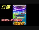 白猫　リンクニューワールズ攻略　突破口　ガチャキャラ　グラハム（剣）ジン（拳）アイリス＆赤髪（弓）イクシア（輝剣）　９周年イベントEP４　＃４７　【白猫プロジェクト】