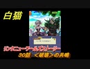 白猫　リンクニューワールズストーリー　３０話　＜破壊＞の共鳴　ガチャキャラ　グラハム（剣）ジン（拳）アイリス＆赤髪（弓）イクシア（輝剣）　９周年イベントEP４　＃４８　【白猫プロジェクト】