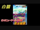 白猫　リンクニューワールズ攻略　安全確保　ガチャキャラ　グラハム（剣）ジン（拳）アイリス＆赤髪（弓）イクシア（輝剣）　９周年イベントEP４　＃５５　【白猫プロジェクト】