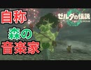【ゼルダの伝説 Totk】このハイラルで一番自由な奴が勇者だ！！【実況】#13