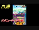 白猫　リンクニューワールズ攻略　哨戒　ガチャキャラ　グラハム（剣）ジン（拳）アイリス＆赤髪（弓）イクシア（輝剣）　９周年イベントEP４　＃５８　【白猫プロジェクト】