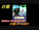 白猫　リンクニューワールズストーリー　３７話　チーム分け　ガチャキャラ　グラハム（剣）ジン（拳）アイリス＆赤髪（弓）イクシア（輝剣）　９周年イベントEP４　＃５９　【白猫プロジェクト】