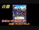 白猫　リンクニューワールズストーリー　３９話　ディラン・アレス　ガチャキャラ　グラハム（剣）ジン（拳）アイリス＆赤髪（弓）イクシア（輝剣）　９周年イベントEP４　＃６３　【白猫プロジェクト】