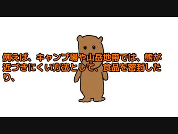 熊に殺されてしまう人数