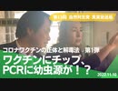 自然共生党真実放送局 第13回 コロナワクチンの正体と解毒法 【第1弾】ワクチンにチップ、PCRに幼虫源が！？ 2022.11.10