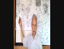 人類社会は一つに向かっているが、日本は? 客家が裏で動いている?　岸田政権は何を?：2023年7月16日メッセージ（新井信介：ぬなとチャンネル）