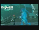 【43】ぼっち勇者の天空探検【ゼルダの伝説ティアーズオブザキングダム】