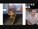 【エミマガ感想 191回】耳かき音声とかyoutubeに山ほどあるのにきちんみんな買うのが偉い