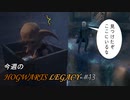【ホグワーツレガシー】今週のHOWGWARTS LEGACY #13