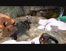 ただただInsurgencyをプレイ(実況無し) part9