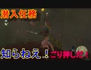 謎解きに弱すぎる男の抗い 名作謎解きゲーをIQ3がゆく[ゼルダの伝説BotW]実況プレイ36