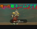 謎解きに弱すぎる男の抗い 名作謎解きゲーをIQ3がゆく[ゼルダの伝説BotW]実況プレイ37