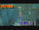 謎解きに弱すぎる男の抗い 名作謎解きゲーをIQ3がゆく[ゼルダの伝説BotW]実況プレイ38