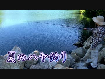 テンカラで狙う、夏の大ハヤ釣り【延べ竿釣行記】