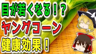 【ゆっくり解説】ヤングコーンの栄養について解説！