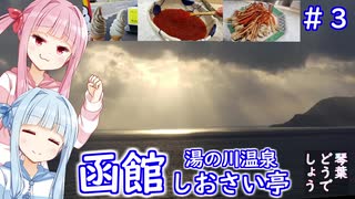 琴葉どうでしょう 函館 日本一空港に近い温泉街 湯の川温泉#3【VOICEROID 琴葉茜・葵】