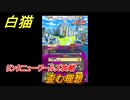 白猫　リンクニューワールズ攻略　歪む理想　ガチャキャラ　グラハム（剣）ジン（拳）アイリス＆赤髪（弓）イクシア（輝剣）　９周年イベントEP４　＃６６　【白猫プロジェクト】