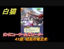 白猫　リンクニューワールズストーリー　４１話　狂乱の竜王女　ガチャキャラ　グラハム（剣）ジン（拳）アイリス＆赤髪（弓）イクシア（輝剣）　９周年イベントEP４　＃６７　【白猫プロジェクト】