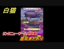 白猫　リンクニューワールズ攻略　混沌来たれり　ガチャキャラ　グラハム（剣）ジン（拳）アイリス＆赤髪（弓）イクシア（輝剣）　９周年イベントEP４　＃７３　【白猫プロジェクト】