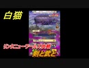 白猫　リンクニューワールズ攻略　剣と武と　ガチャキャラ　グラハム（剣）ジン（拳）アイリス＆赤髪（弓）イクシア（輝剣）　９周年イベントEP４　＃７５　【白猫プロジェクト】