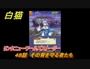 白猫　リンクニューワールズストーリー　４８話　その背を守る者たち　ガチャキャラ　グラハム（剣）ジン（拳）アイリス＆赤髪（弓）イクシア（輝剣）　９周年イベントEP４　＃７８　【白猫プロジェクト】