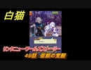 白猫　リンクニューワールズストーリー　４９話　信頼の覚醒　ガチャキャラ　グラハム（剣）ジン（拳）アイリス＆赤髪（弓）イクシア（輝剣）　９周年イベントEP４　＃８０　【白猫プロジェクト】