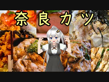 奈良カツ（シンプル車載投稿祭）【V-STROM1050XT】