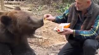 ホモと見るビッグマックを食わせられる熊