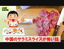 【ゆっくり所感】中国のサラミスライス怖いよねって話（2023.07.16）　