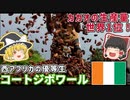 カカオの生産量世界一！コートジボワールってどんな国？【ゆっくり解説】